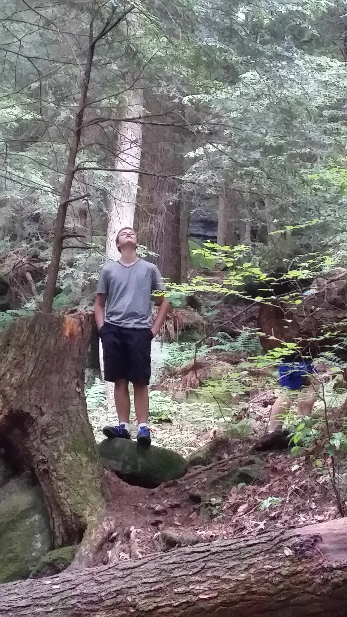 a man standing by a very large tree in the woods