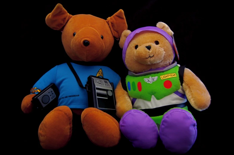 two stuffed bears wearing costumes one with a camera