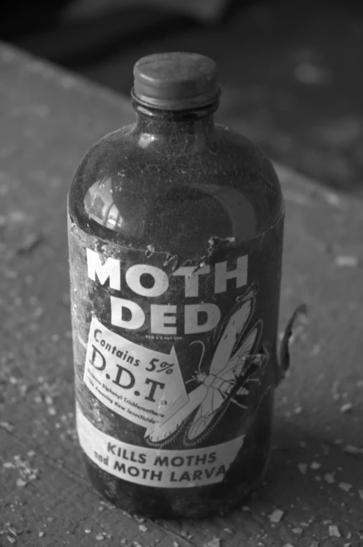 black and white pograph of a moth - covered bottle