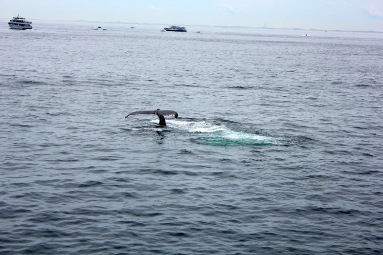 a person riding a surf board on the ocean