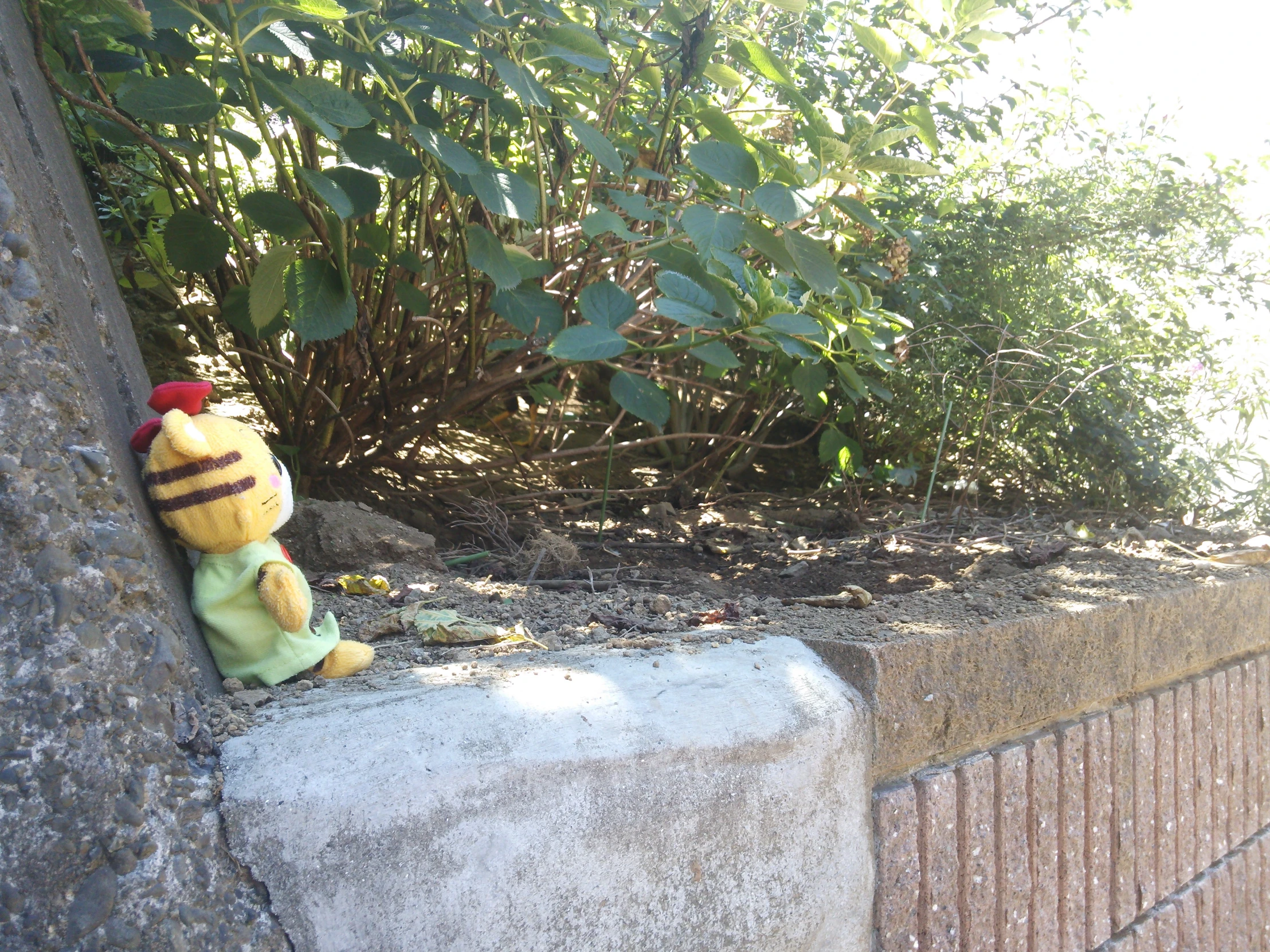 stuffed toy frog posed on ledge near plants and shrubs