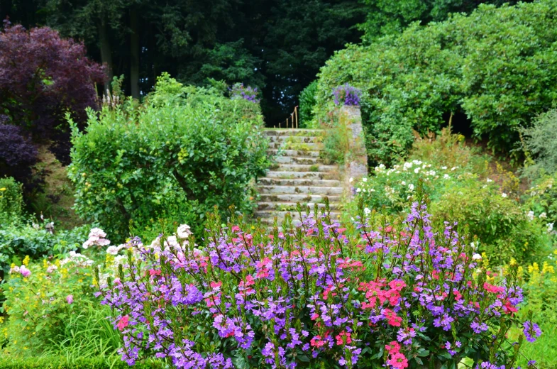 a garden with steps leading up into a stairway
