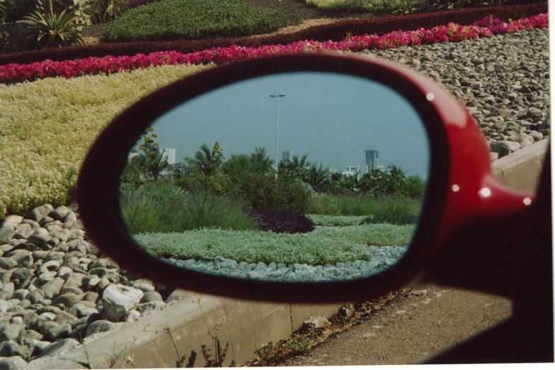 a rear view mirror reflecting a view of a red plant