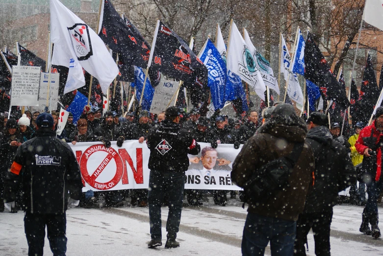 a bunch of people holding signs and flags