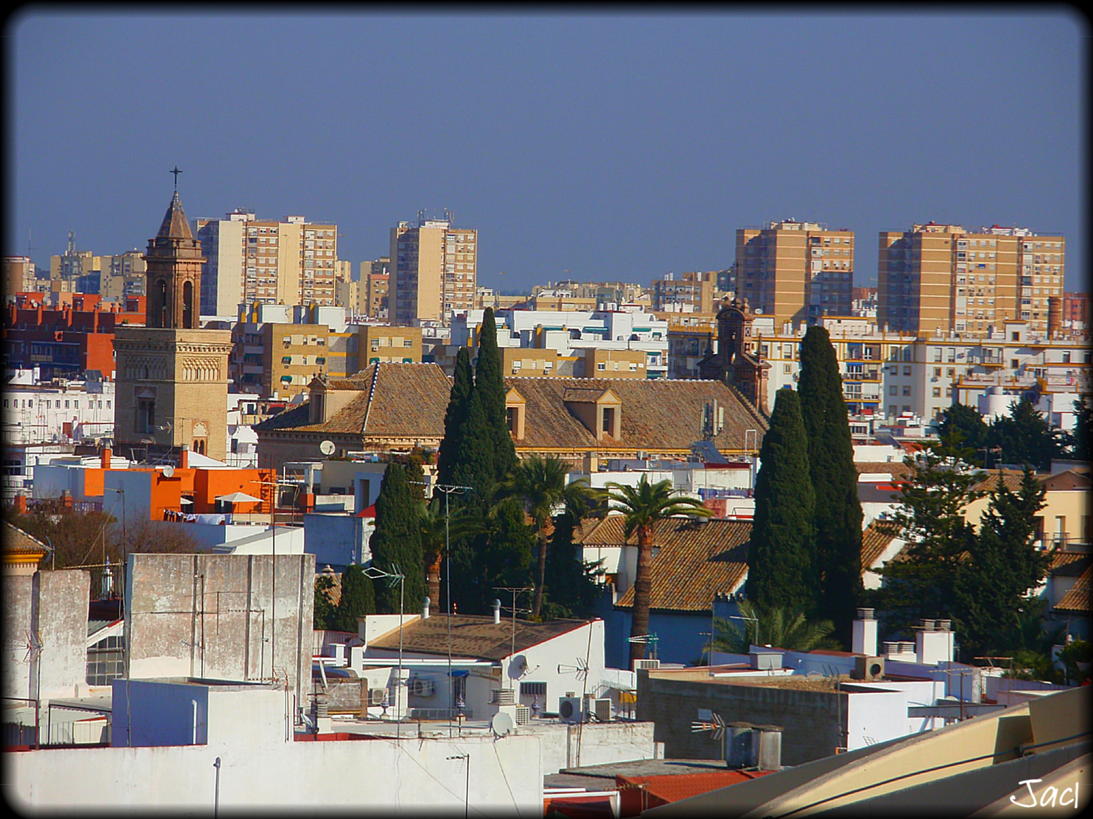 city skyline with buildings in the background