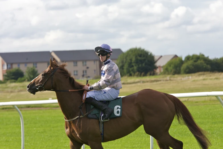 jockey in riding attire on horse with fence in background