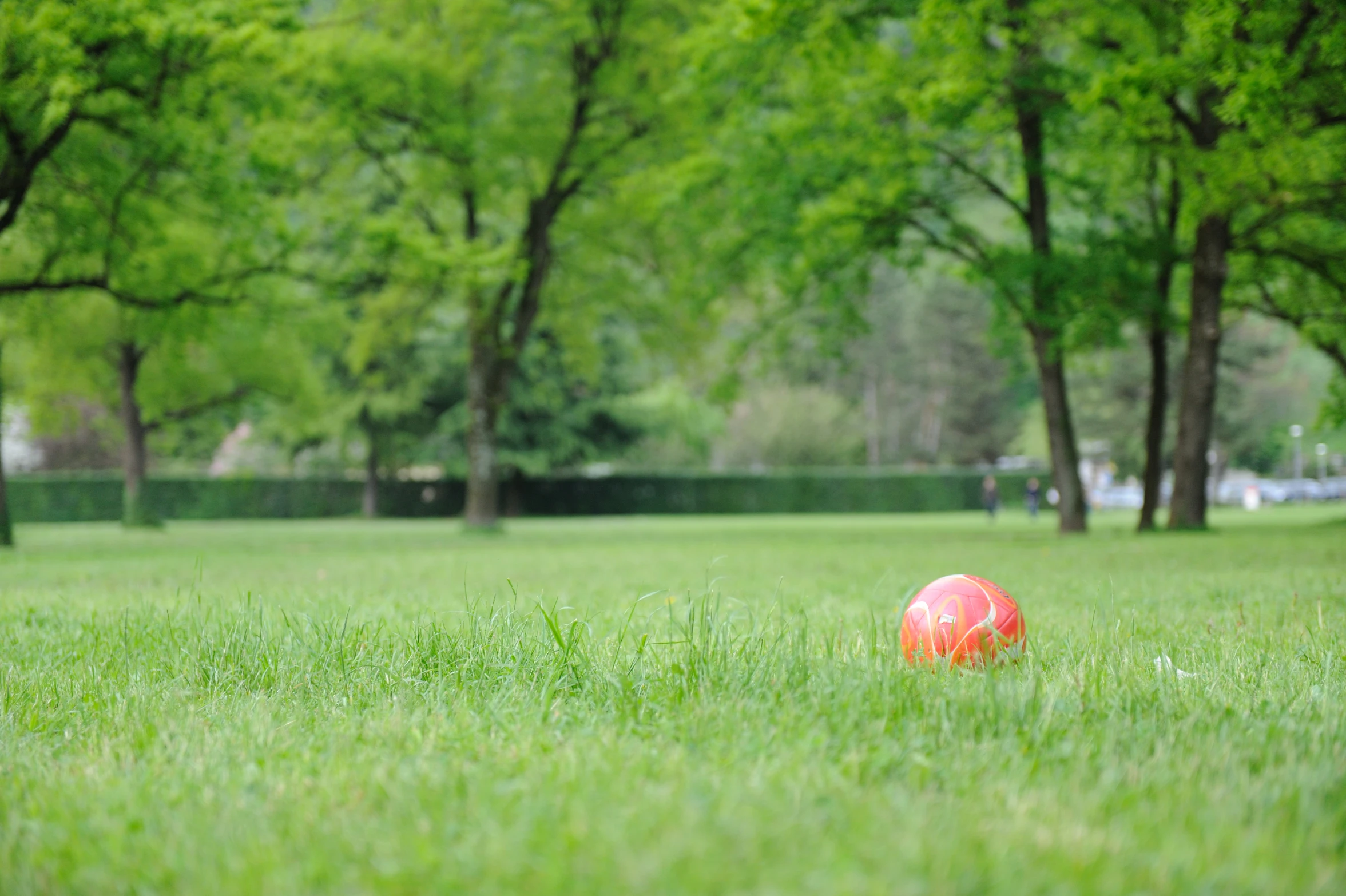 a small orange ball sitting in the middle of the grass