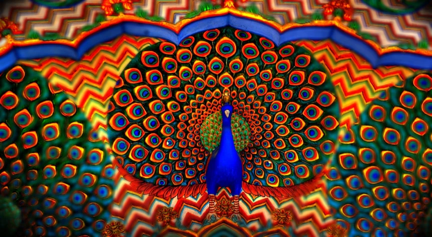 an abstract image of the back side of a peacock