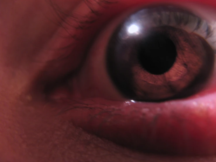 the left side of a man's eye is visible