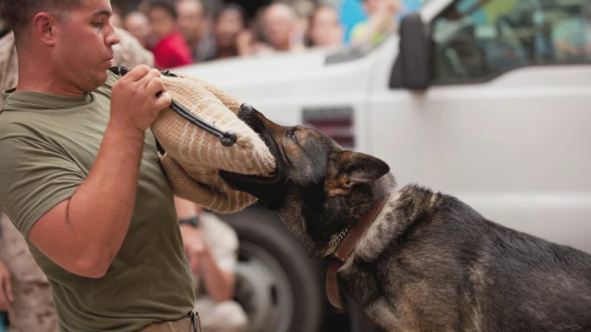 a man playing with his dog while he holds on to the umbrella