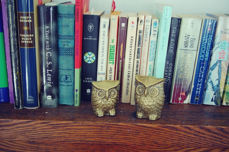 an owl sitting in front of a shelf with books