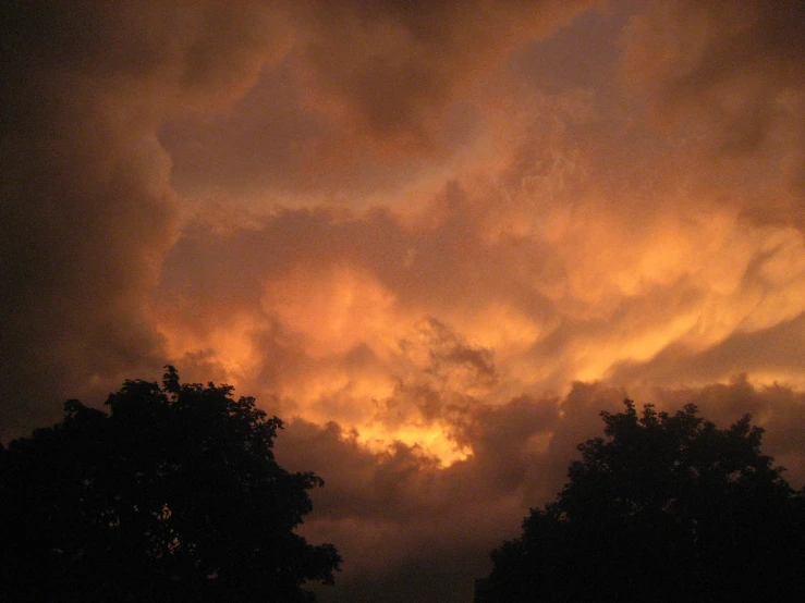 bright clouds above tree tops against a sky filled with red