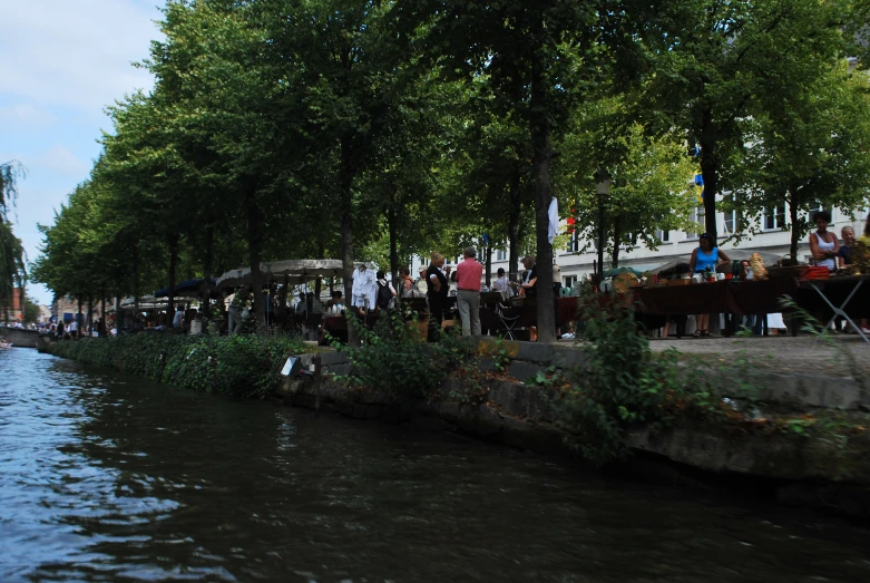 a group of people gathered near a tree lined river