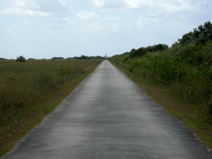 a wide street with a cow laying on the side of it