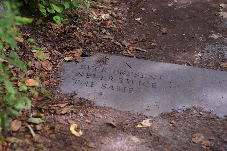 a grave sitting in the ground under leaves
