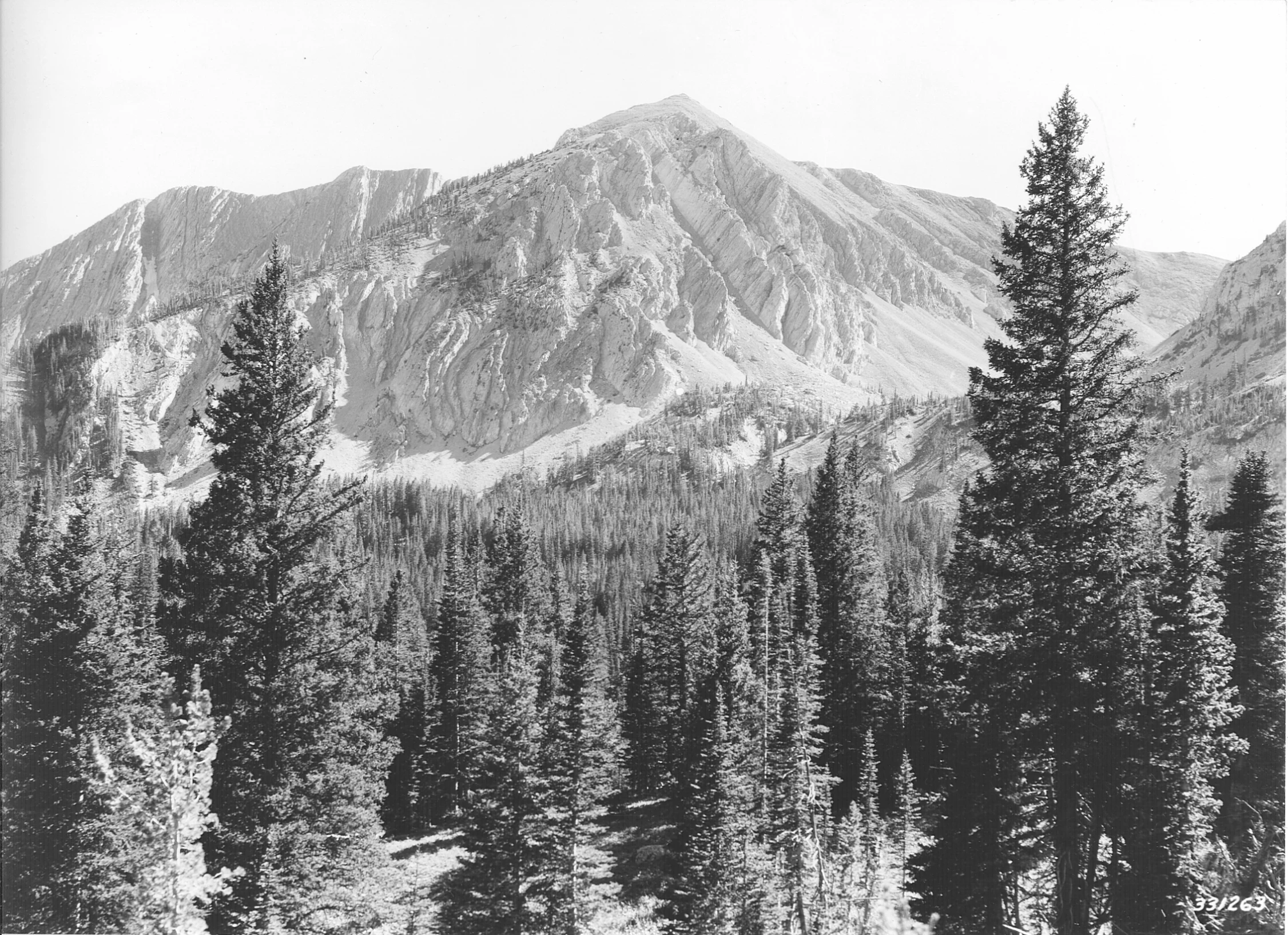 a mountain surrounded by tall, sp trees