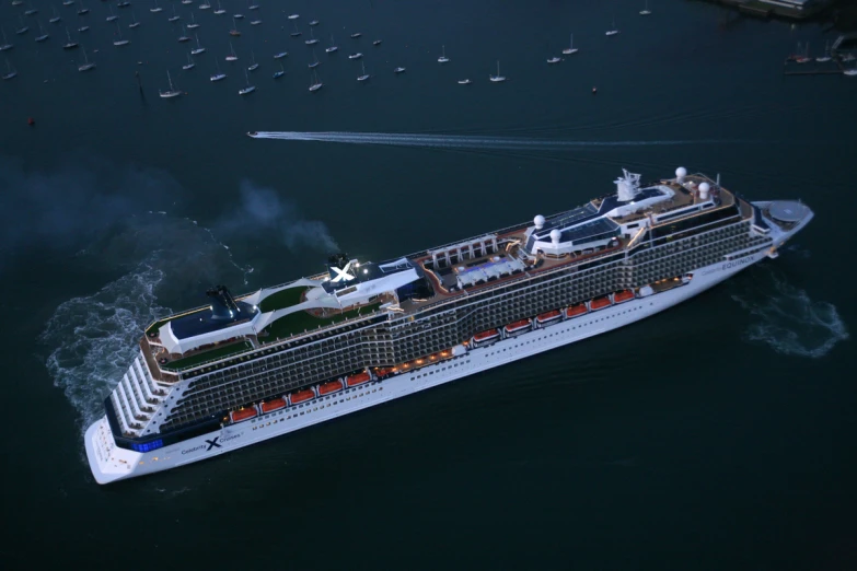 the royal princess cruise ship is moored off in port