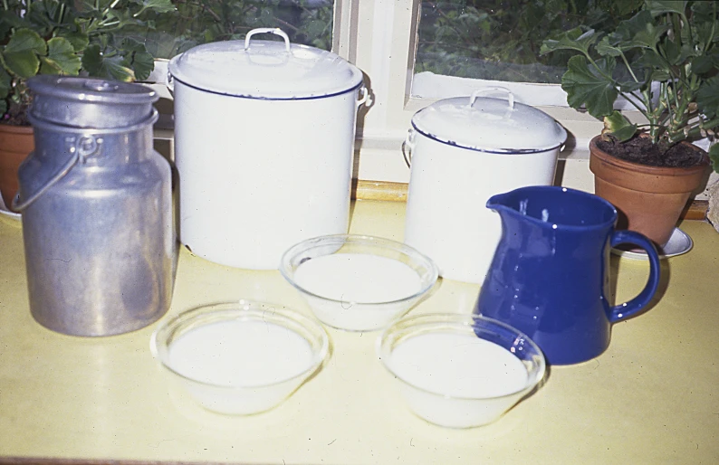 three vases and four glasses sitting on a table near plants