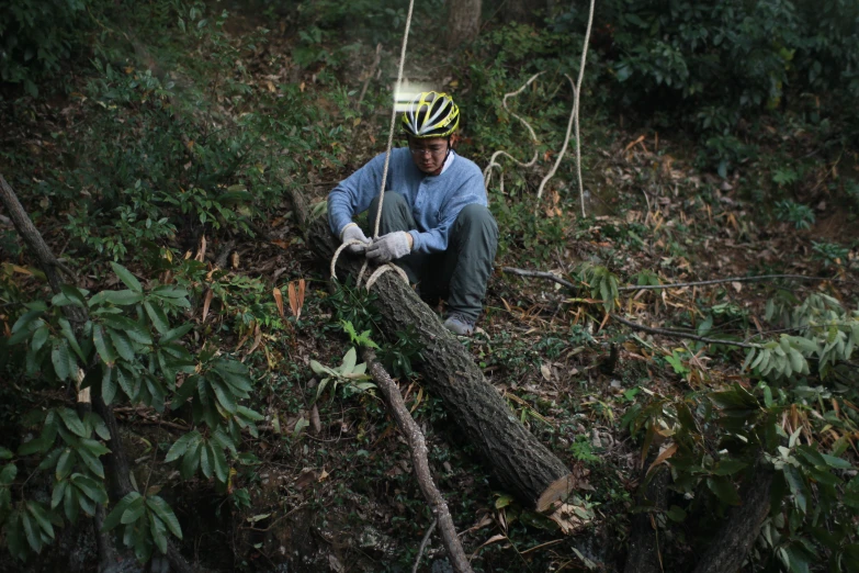 a man with safety equipment crouching in the brush while  down trees