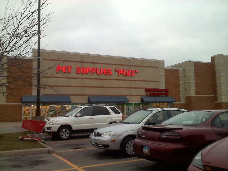 a dog sitting in front of a pet shop