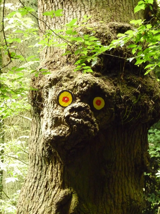 a scary face on top of a tree stump