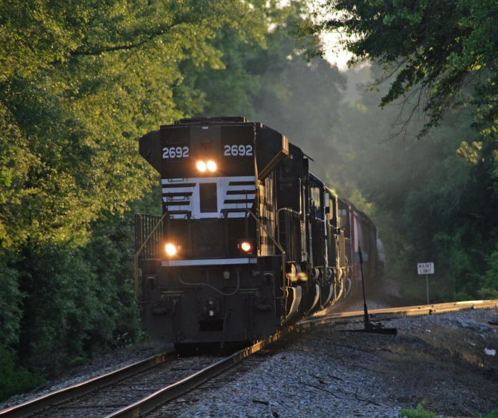 a train traveling down train tracks surrounded by trees