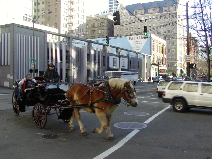 there is a brown horse pulling a carriage