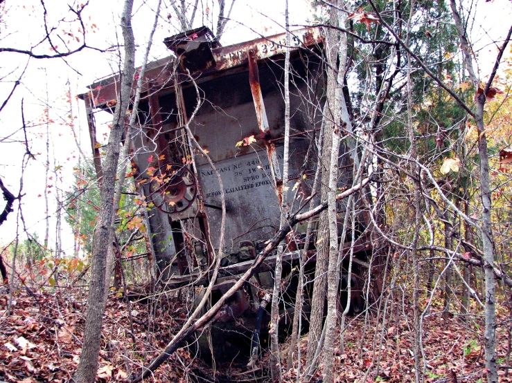 a old truck is stuck among the trees in the woods