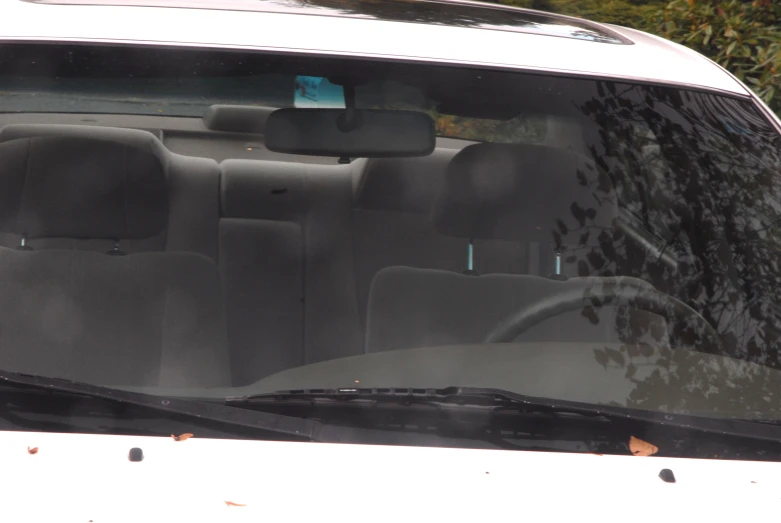 the back seat in a car with trees in the background