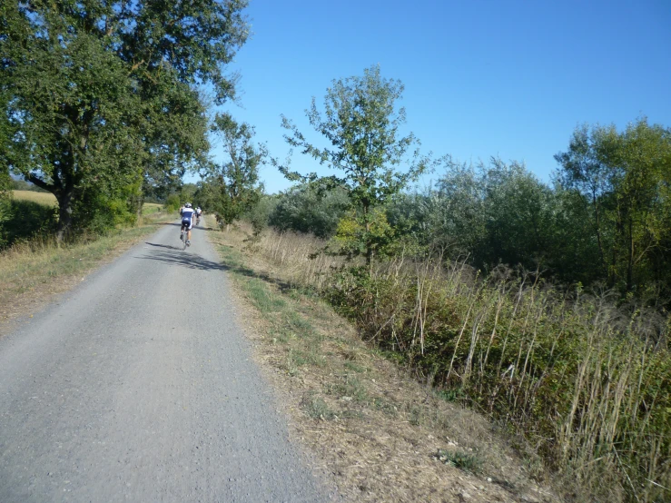 two people riding bicycles on a paved road