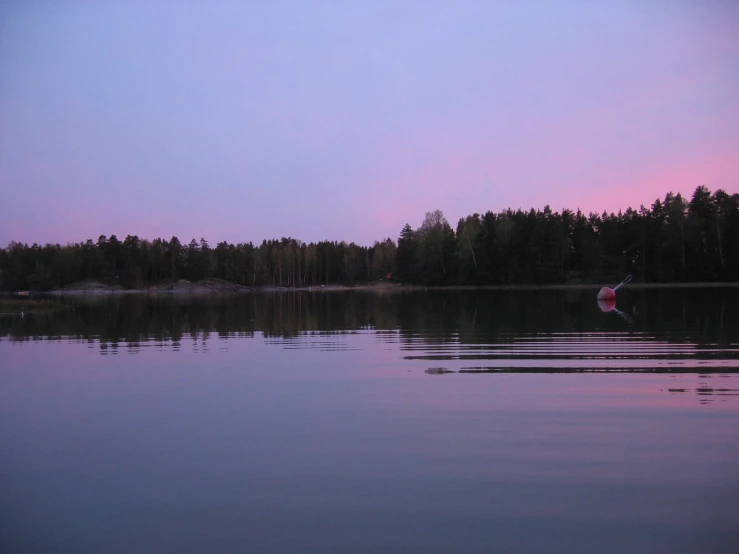 a lake with calm water and trees lining the shore