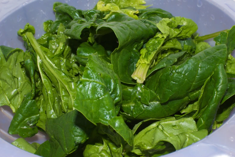 a bowl full of spinach and lettuce with water droplets on it