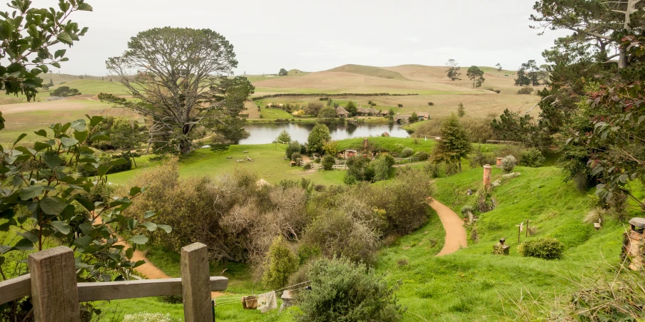 the lush green countryside with a path leads to the pond