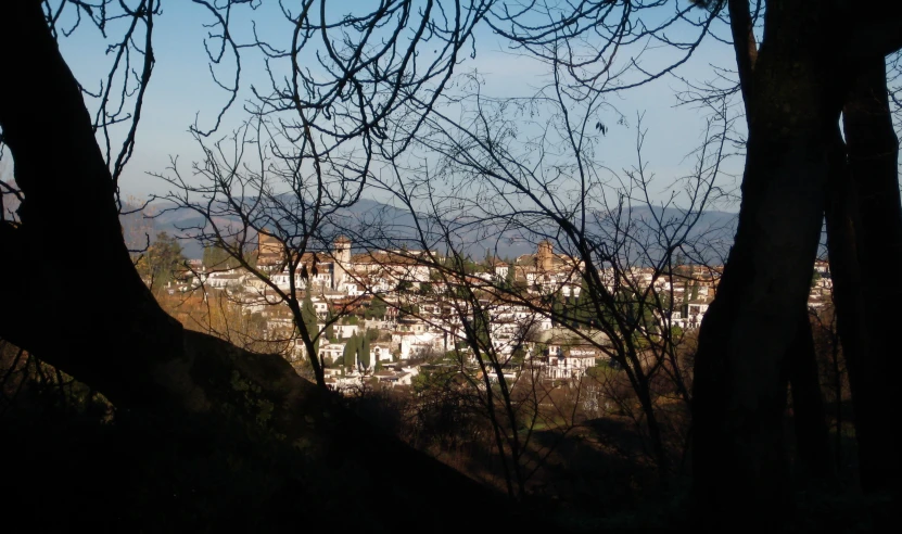 a city from behind trees covered in snow