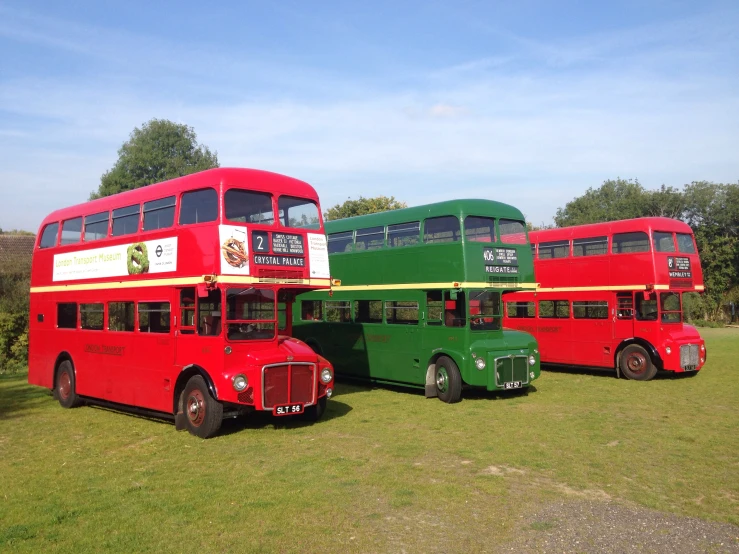 three buses in the grass next to each other