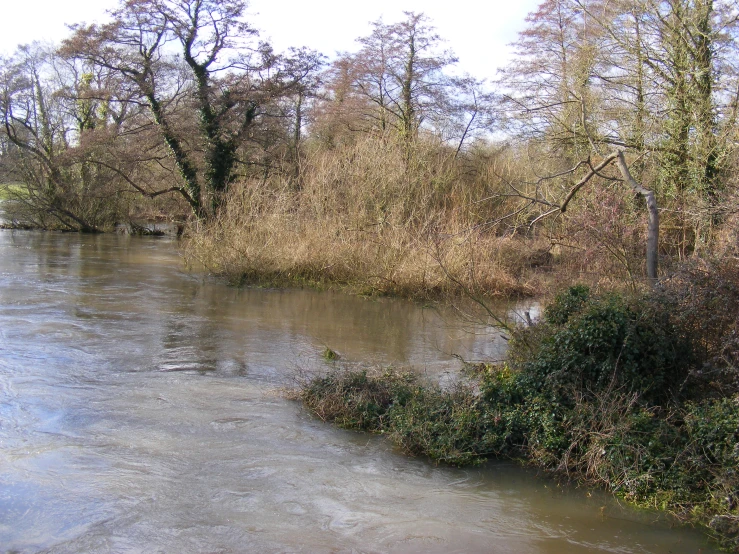 the river is surrounded by trees and bushes