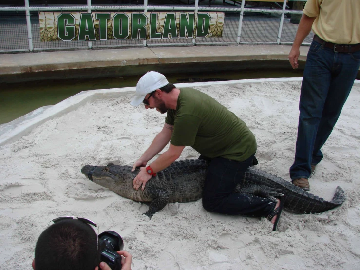 man holding a large animal laying on the sand near water