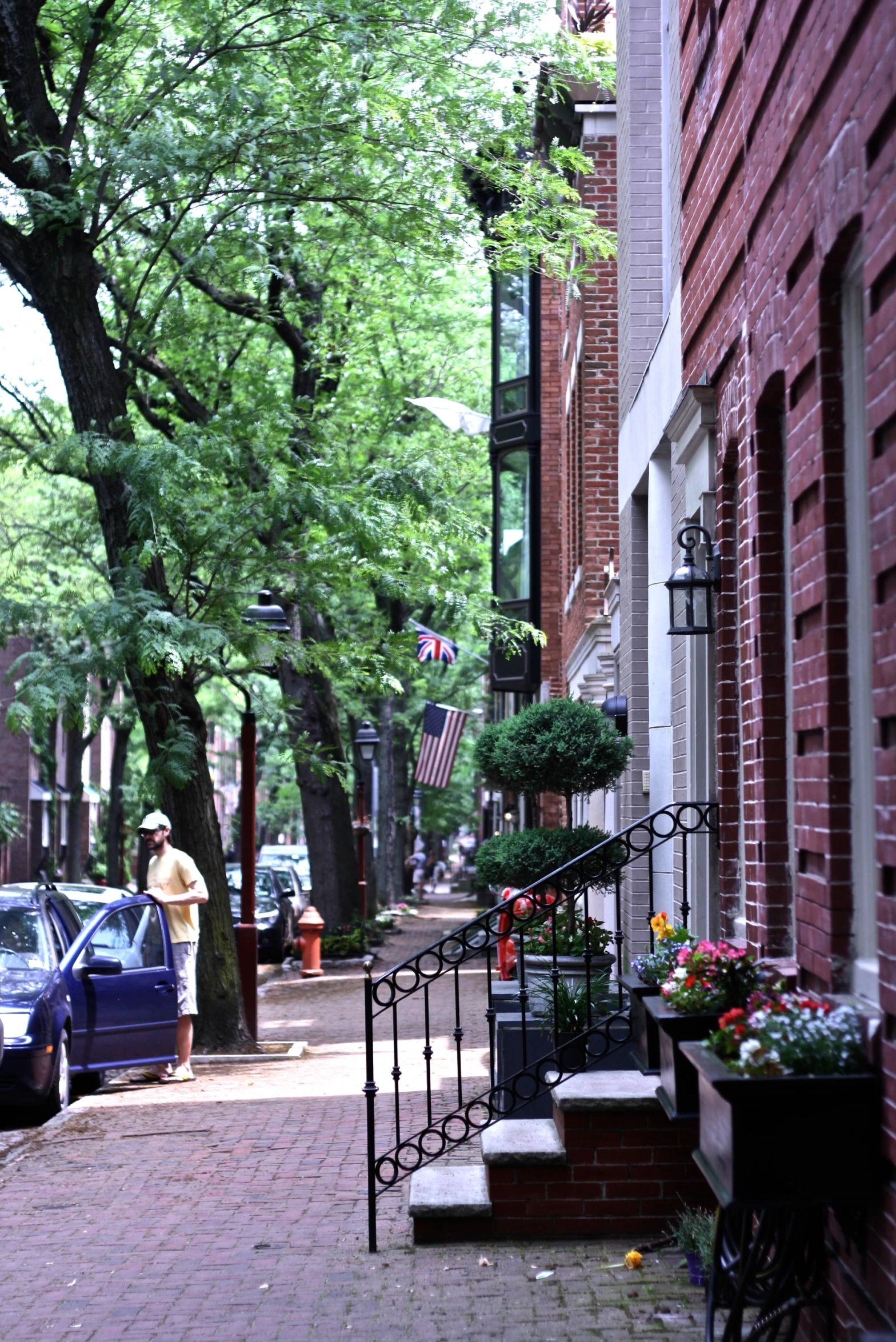 cars parked on the side of the street next to trees