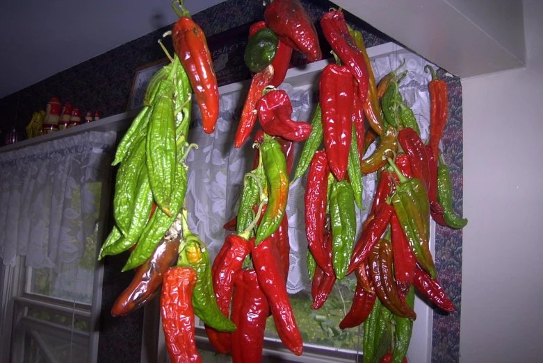 the green and red peppers have fallen off of the oven