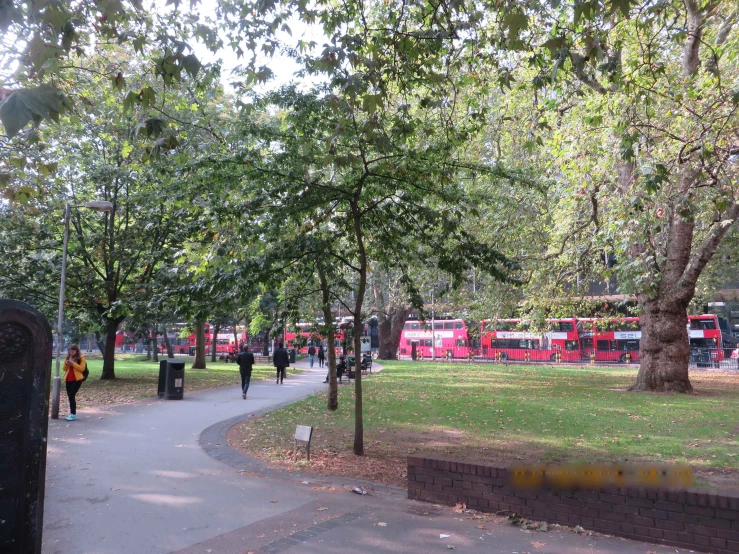 park with red busses and trees and sidewalk area