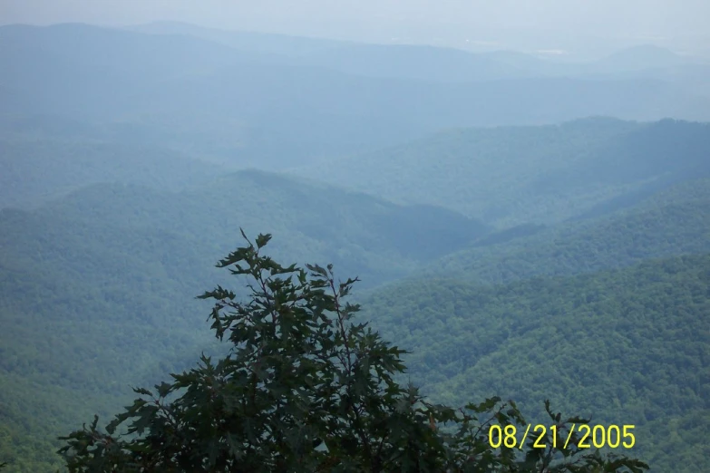 a view over the valley of green mountain ranges