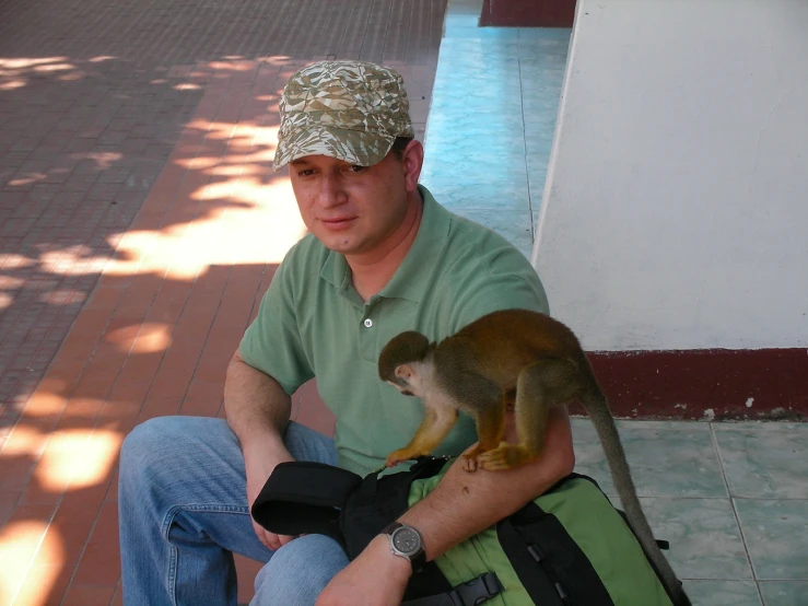 a man sits on a bench while holding a small animal