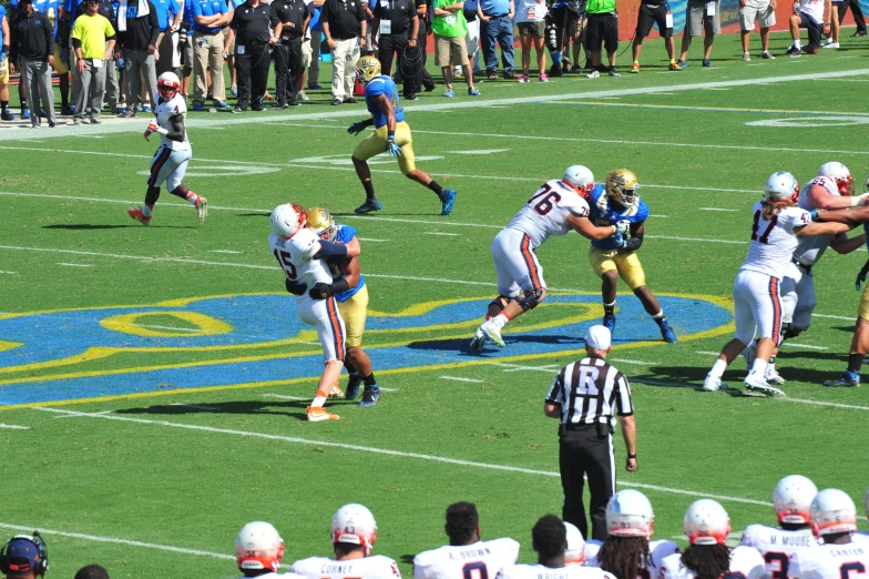 the football players are playing on the field