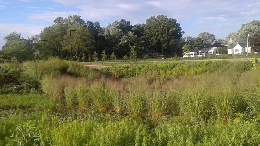 a grassy field with a red stop sign in the distance