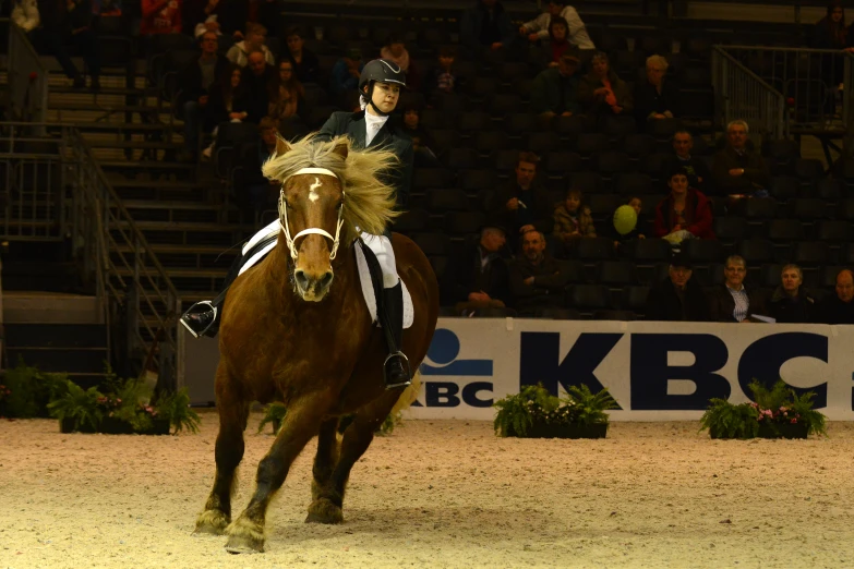 a person riding a horse in a crowded arena