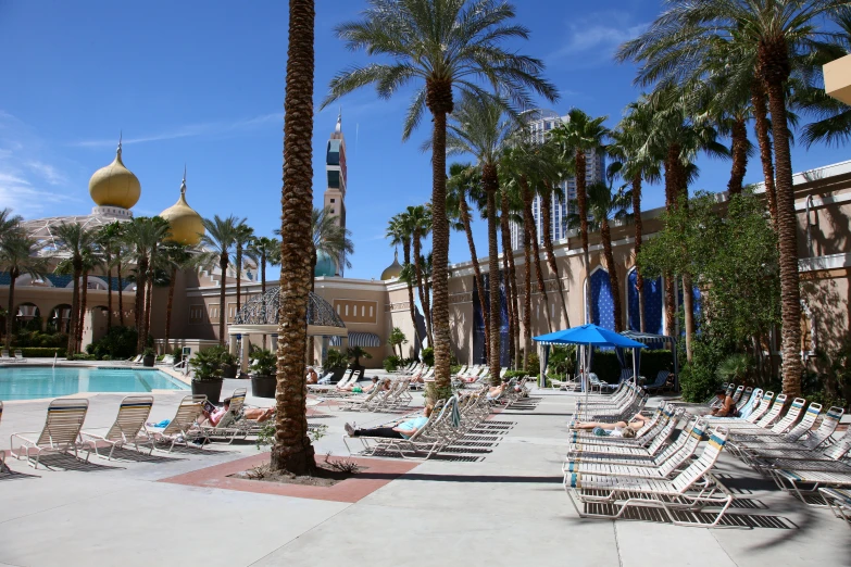 palm trees are growing next to a el pool