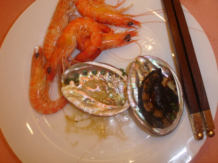 a white plate of shrimp, shrimp and rice balls
