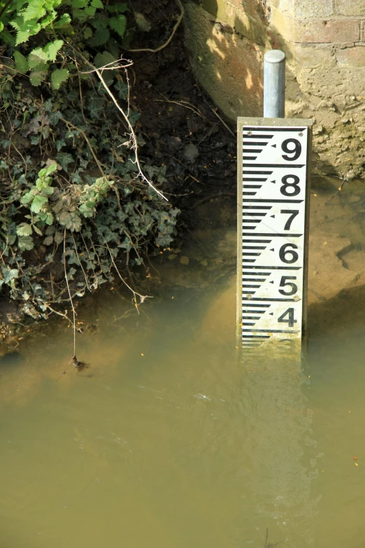 a sign sits submerged in a stream near the shore