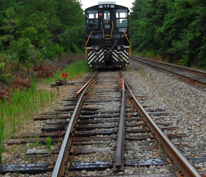 a black and yellow train traveling through a forest