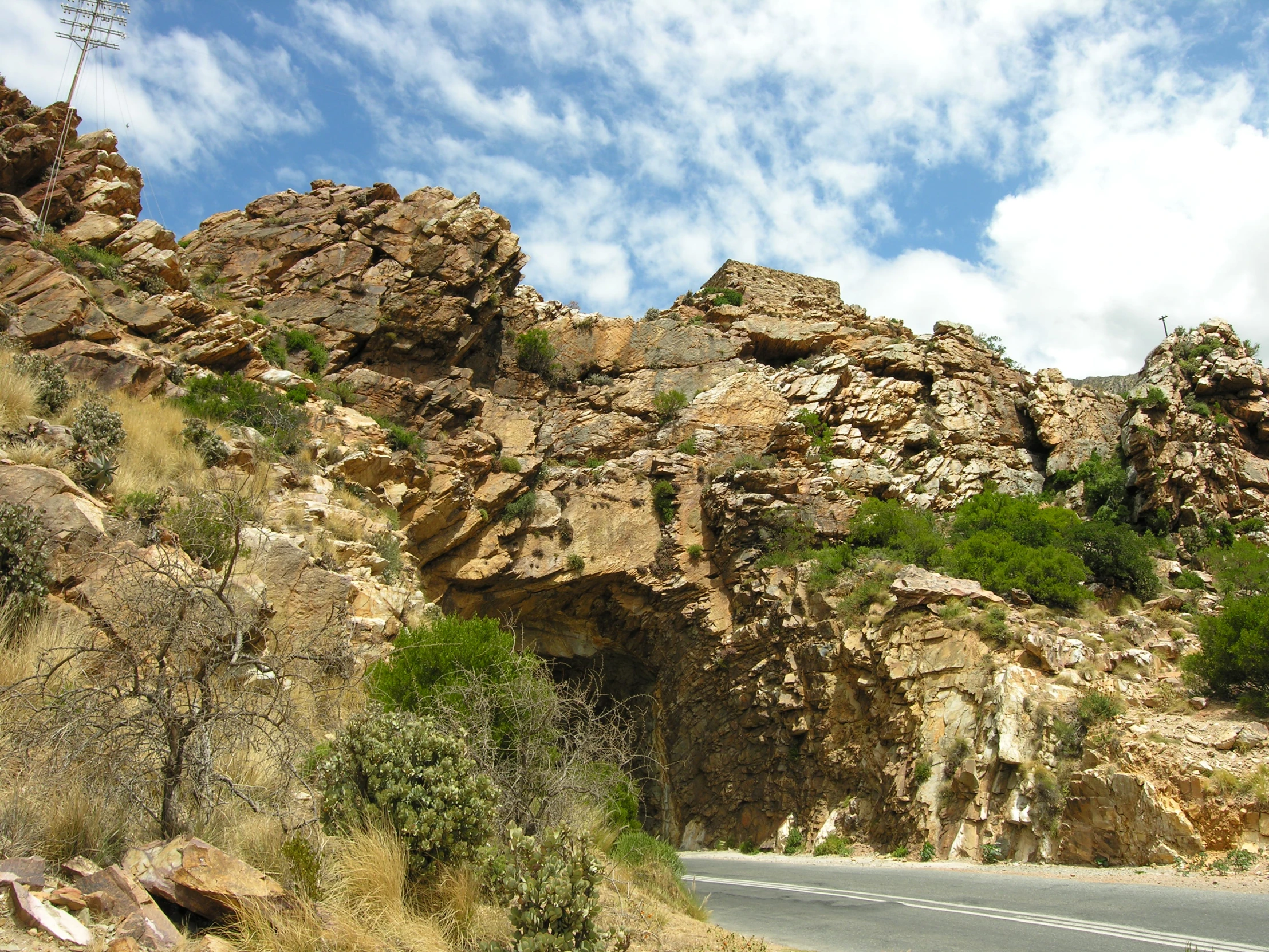 a rocky cliff side with trees and a road